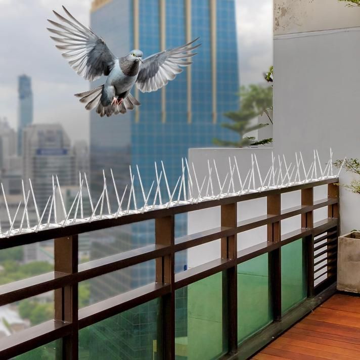 Eco-Friendly Pigeon Control Spikes (Set of 10)
