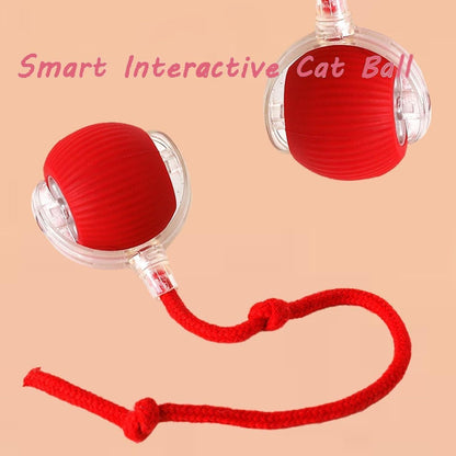 Smart Rolling Pet Ball