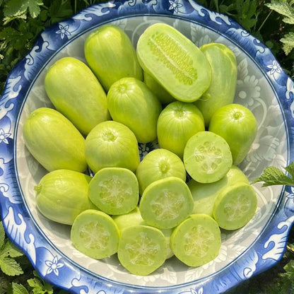 Golden Lady Cucumber Seeds