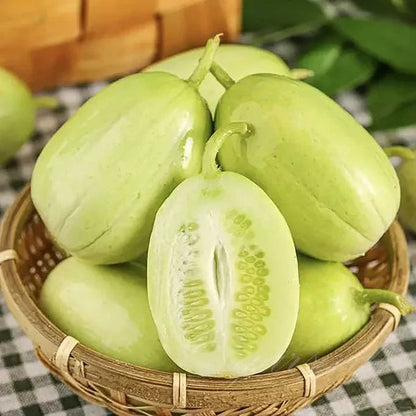 Golden Lady Cucumber Seeds