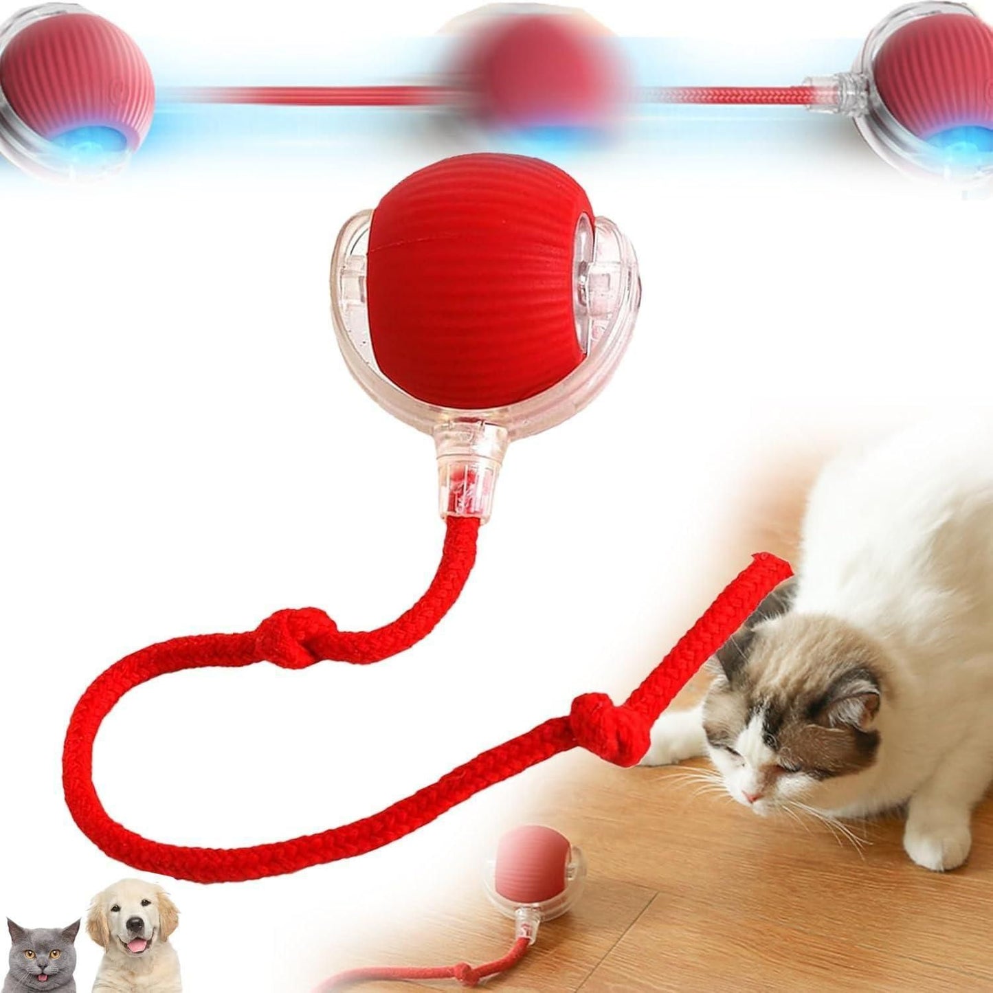 Smart Rolling Pet Ball