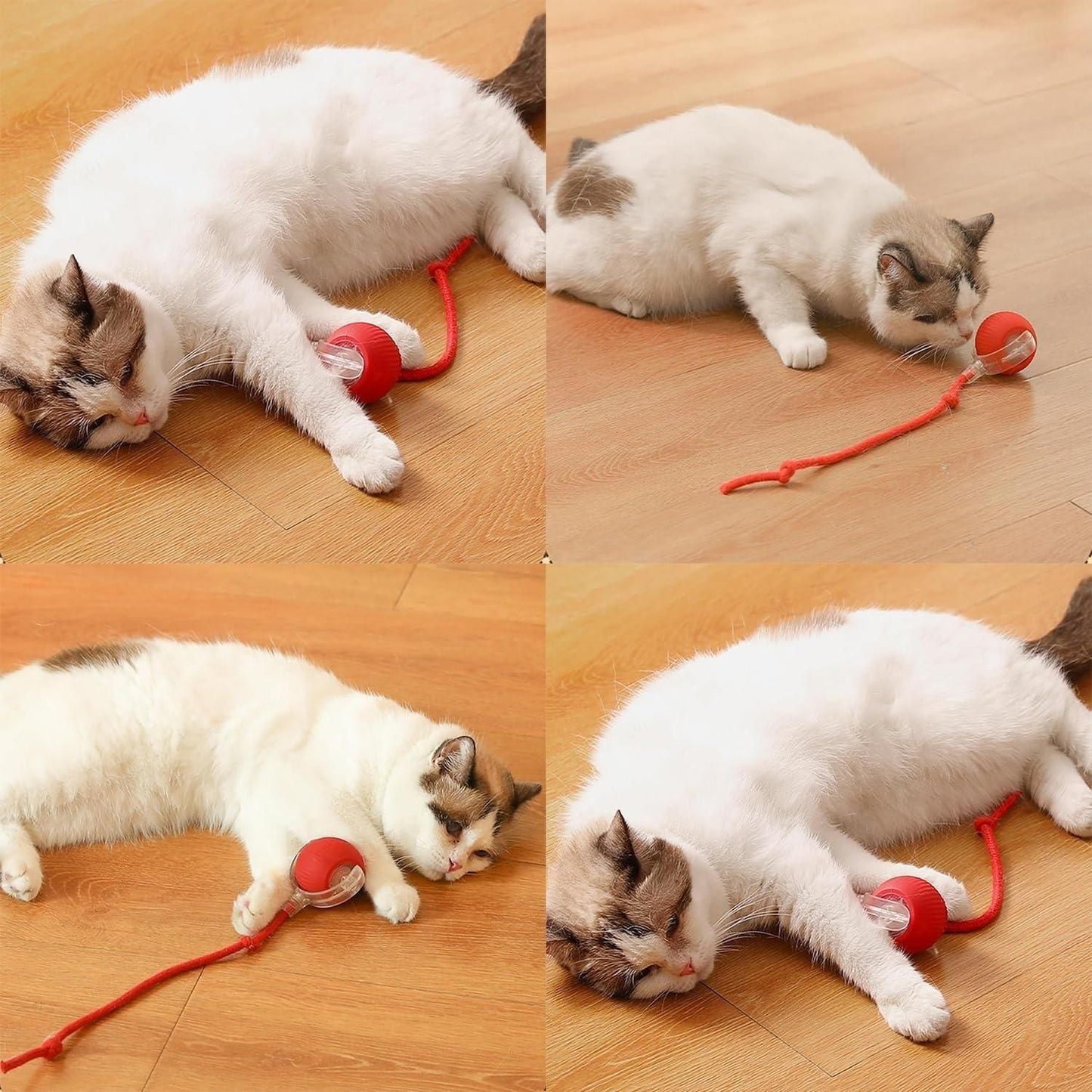 Smart Rolling Pet Ball