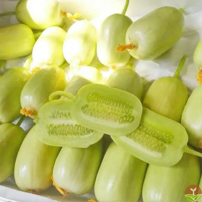 Golden Lady Cucumber Seeds