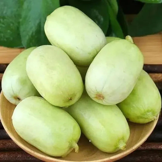 Golden Lady Cucumber Seeds
